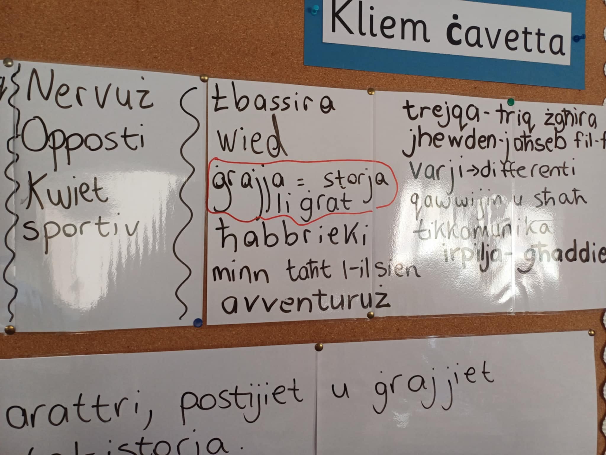 Il-Bord tal-Malti.2