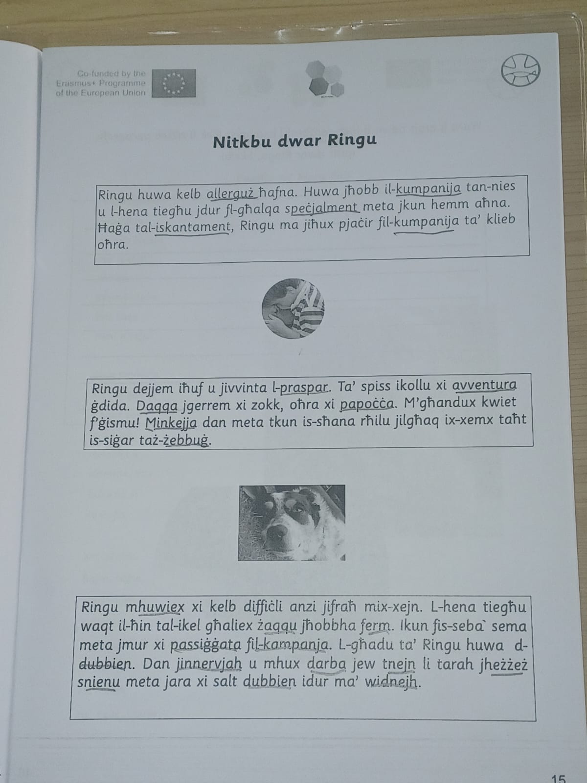 Mudell ta' Paragrafu